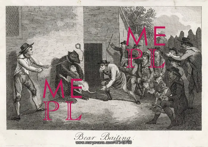 : Bear Baiting - circa 18th century : Bear Baiting - circa 18th century