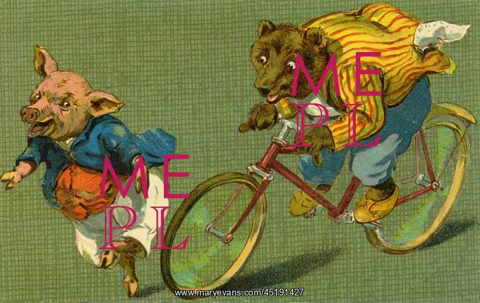 : Bear on a bicycle by g h Thompson : Bear on a bicycle by g h Thompson