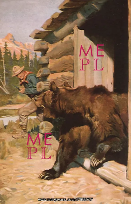  : Bear, Cabin and Hunter