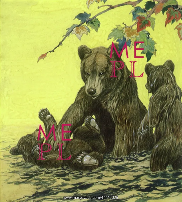  : Bear and Cubs in Water