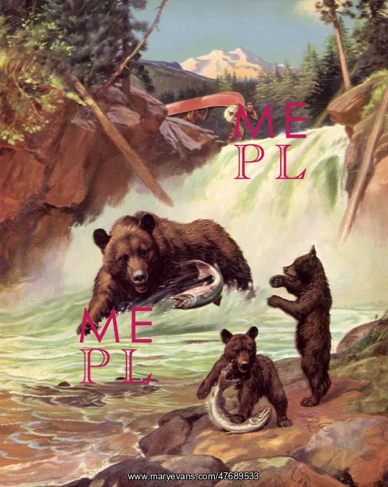  : Bear Family