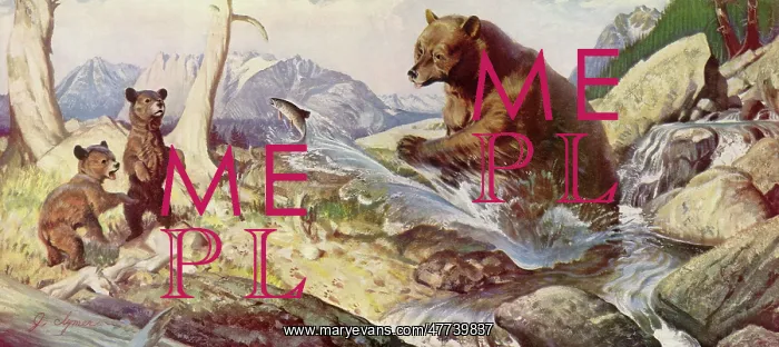  : Bear Feeds Fish to Cubs