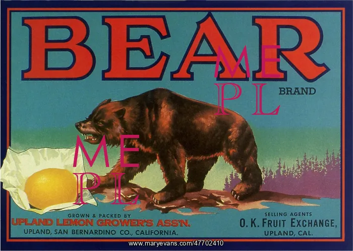  : Bear Fruit Label