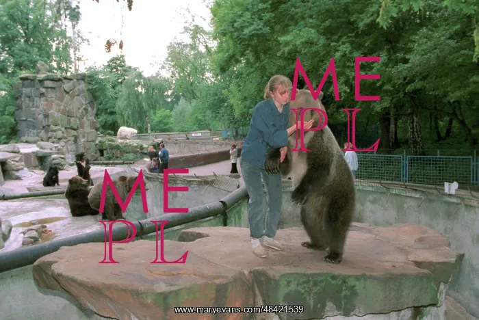 : Bear in Kaliningrad zoo, 1997 : Bear in Kaliningrad zoo, 1997