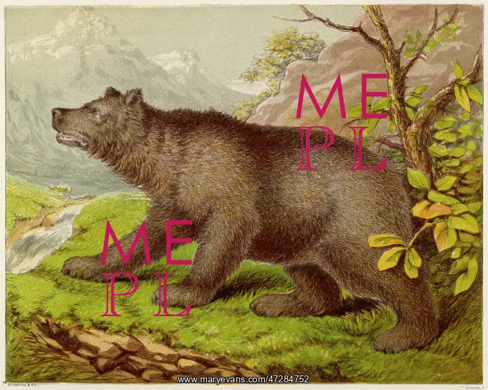 : BEAR (KRONHEIM) : BEAR (KRONHEIM)