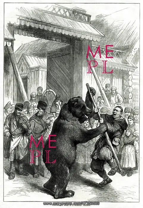 : BEAR PERFORMS FIGHT 1877 : BEAR PERFORMS FIGHT 1877