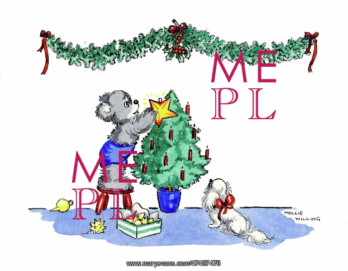 : Bear putting star on Christmas tree : Bear putting star on Christmas tree