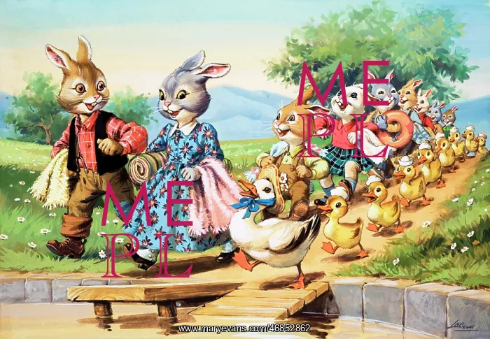  : Bear Rabbit