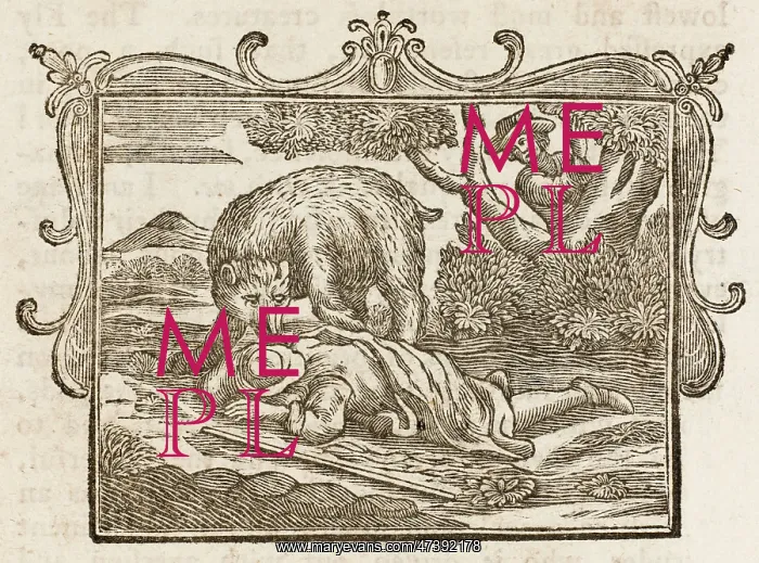 : Bear and the Travellers : Bear and the Travellers