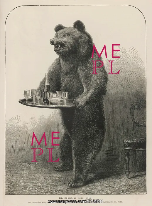 : BEAR WAITER : BEAR WAITER