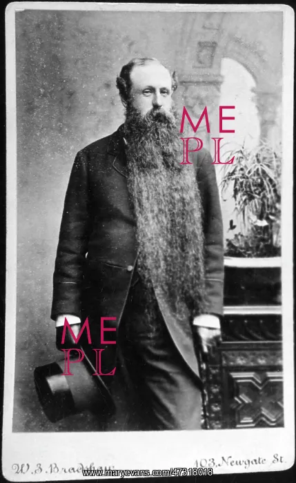 : BEARD / BRADSHAW PHOTO : BEARD / BRADSHAW PHOTO