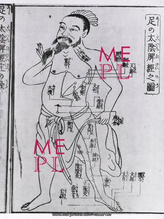 : Bearded figure with acupuncture points and ? : Bearded figure with acupuncture points and ?
