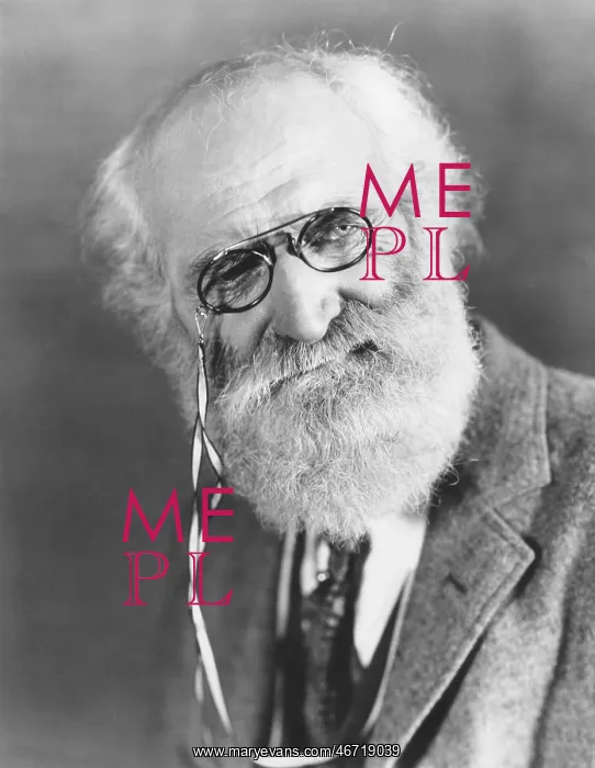 : Bearded man with pince-nez : Bearded man with pince-nez