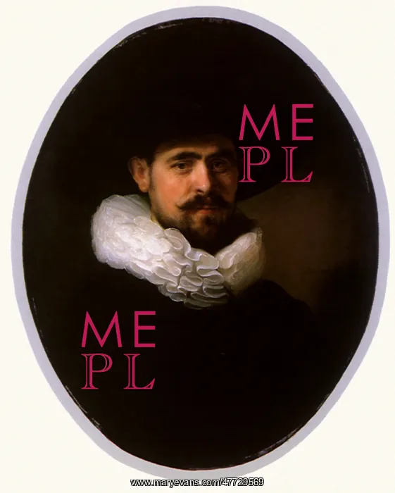  : A Bearded Man in a Wide-Brimmed Hat