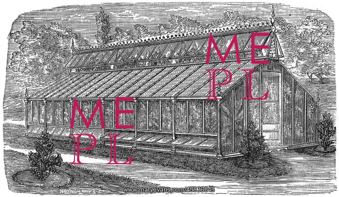  : Beard's greenhouse