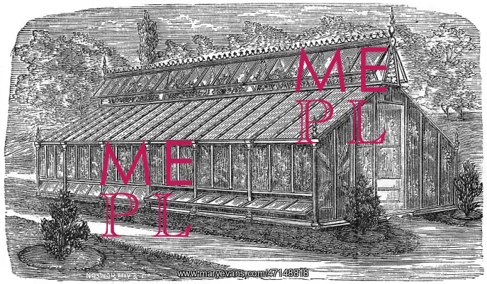 : Beard's greenhouse : Beard's greenhouse