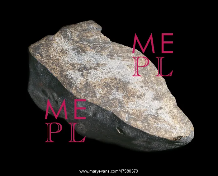 : The Beardsley H5 ordinary chondrite : The Beardsley H5 ordinary chondrite