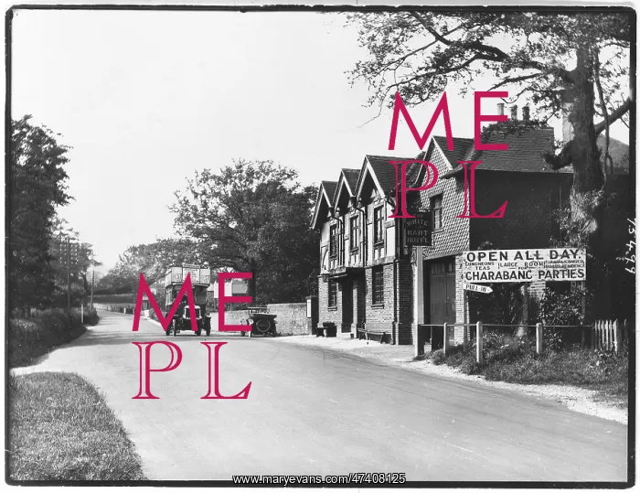  : BEARE GREEN - 1924