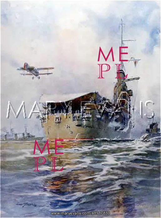: BEARN AIRCRAFT CARRIER : BEARN AIRCRAFT CARRIER