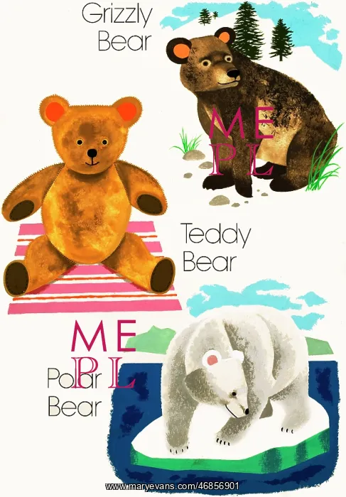  : Bears
