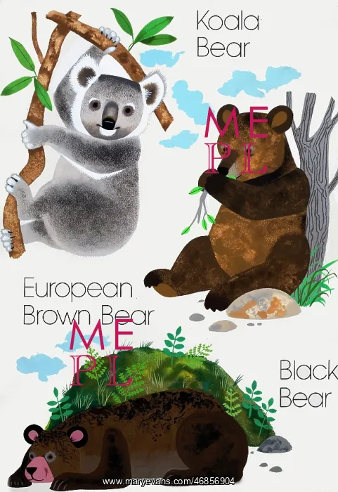  : Bears