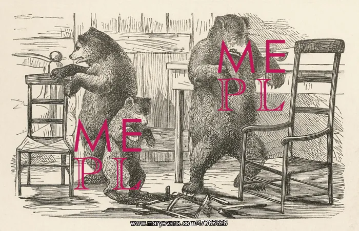 : BEARS FIND THE CHAIRS : BEARS FIND THE CHAIRS