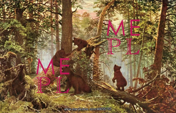  : Bears in a Russian pine forest