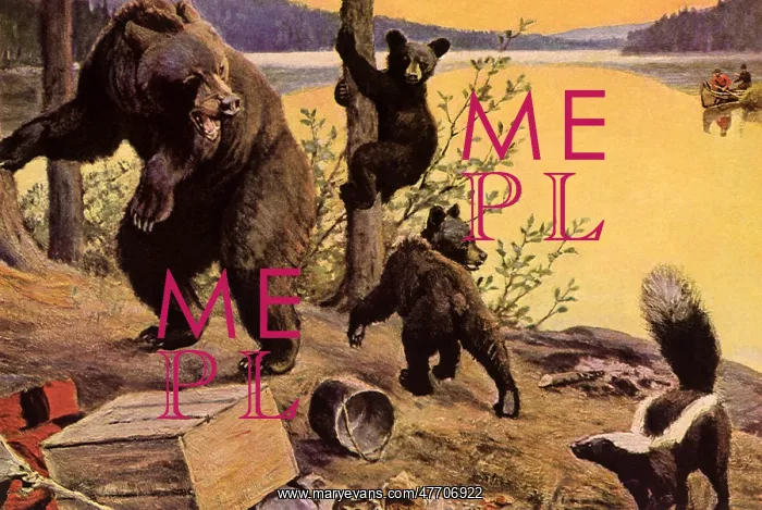  : Bears, Skunk, Campsite