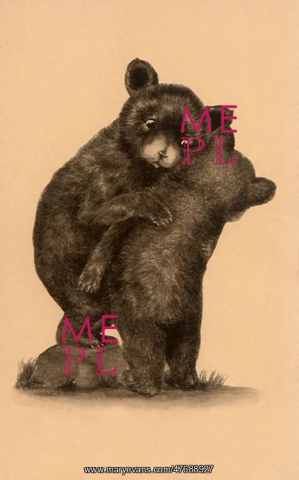  : Bears Try to Dance