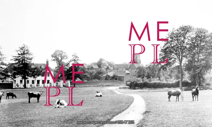  : Bearsted, the Green 1898