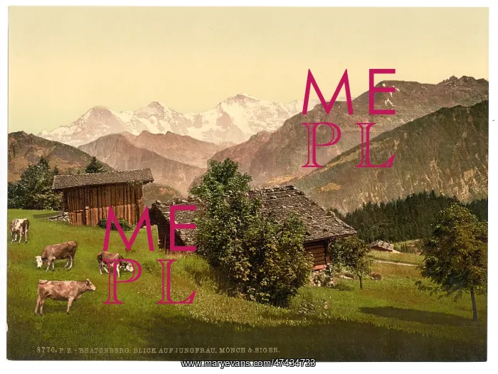 : Beatenburg (i.e. Beatenberg), view of Jungfrau, Monch and E : Beatenburg (i.e. Beatenberg), view of Jungfrau, Monch and E
