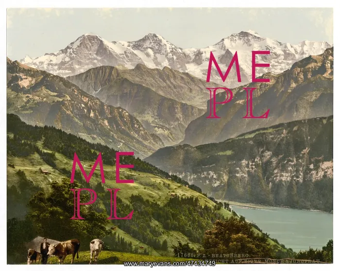 : Beatenburg (i.e. Beatenberg), view of Jungfrau, Monch and E : Beatenburg (i.e. Beatenberg), view of Jungfrau, Monch and E