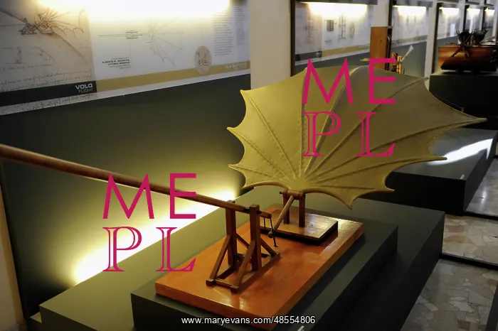: Beating wing. Study by Leonardo da Vinci. Model by Mario Alb : Beating wing. Study by Leonardo da Vinci. Model by Mario Alb