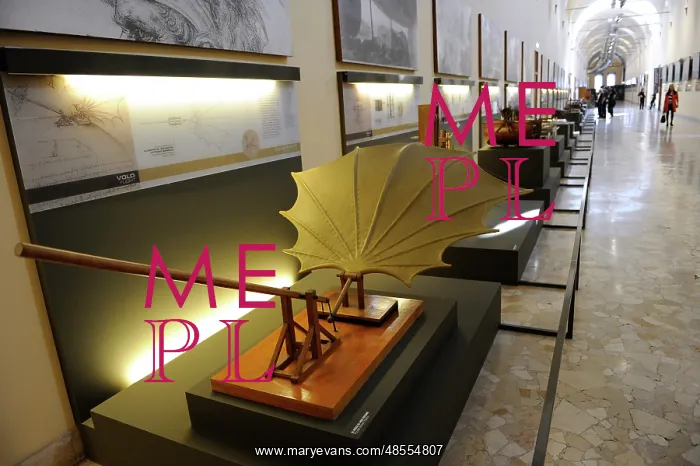 : Beating wing. Study by Leonardo da Vinci. Model by Mario Alb : Beating wing. Study by Leonardo da Vinci. Model by Mario Alb