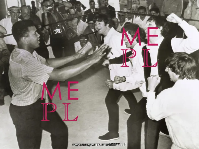 : The Beatles, British pop music sensations : The Beatles, British pop music sensations