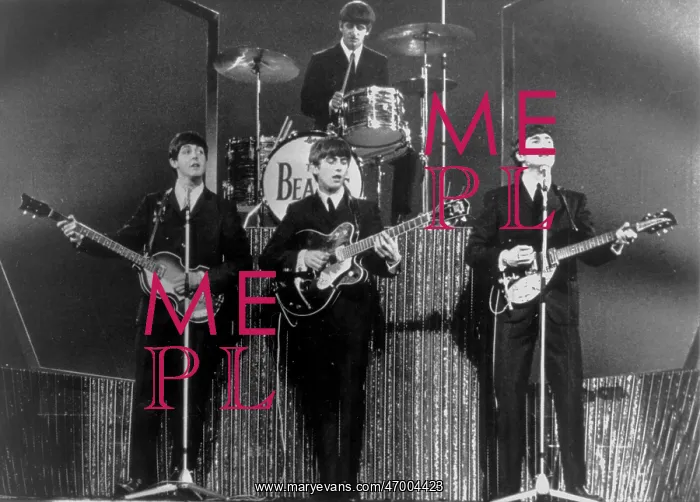: The Beatles performing in a concert : The Beatles performing in a concert