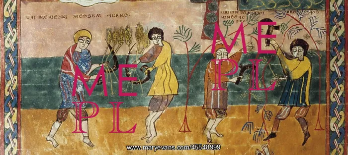 : Beatus of Valcavado. 970. The reaping and the : Beatus of Valcavado. 970. The reaping and the