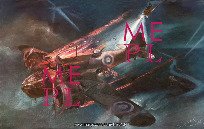 : BEAUFORT SHOT DOWN : BEAUFORT SHOT DOWN