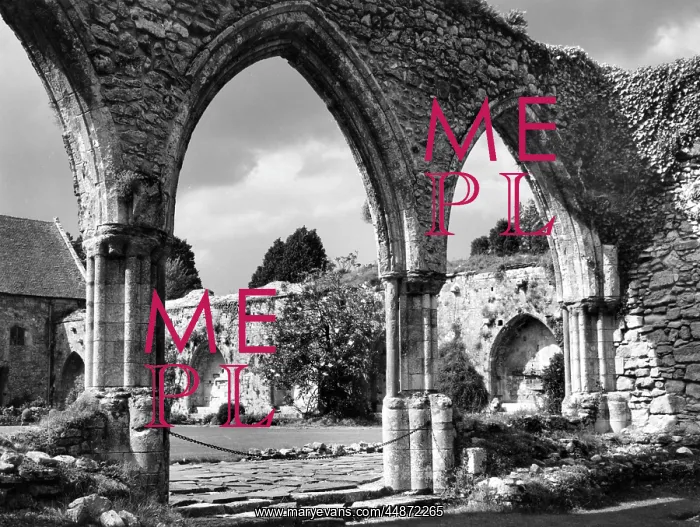 : BEAULIEU ABBEY : BEAULIEU ABBEY