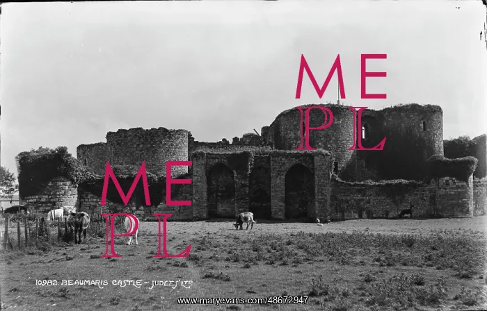 : Beaumaris Castle Ruins : Beaumaris Castle Ruins