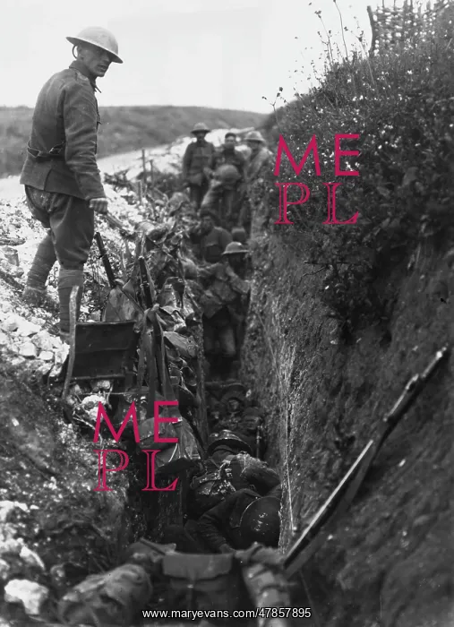 : Beaumont Hamel 1916 : Beaumont Hamel 1916