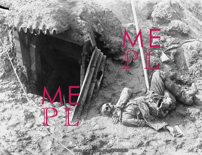 : Beaumont Hamel 1916 : Beaumont Hamel 1916