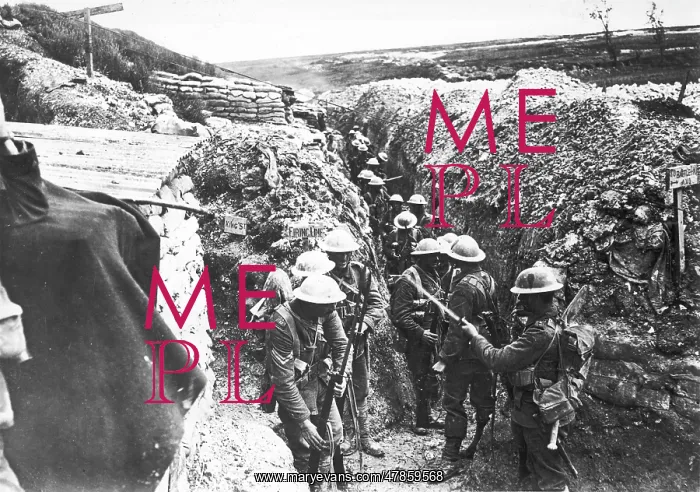 : Beaumont Hamel 1916 : Beaumont Hamel 1916