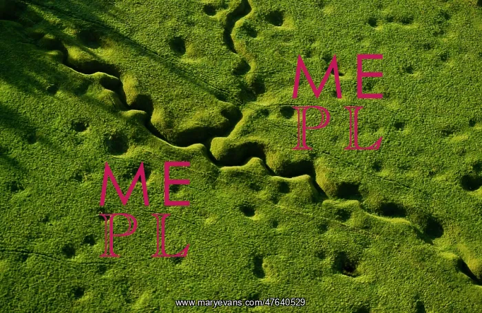 : Beaumont-Hamel Newfoundland Park Memorial : Beaumont-Hamel Newfoundland Park Memorial