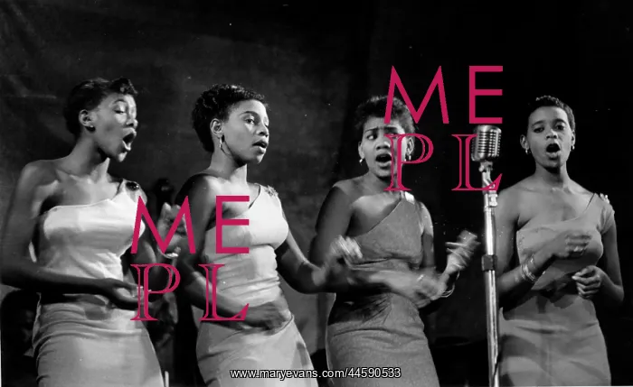 : The Show Had Everything - Four of the beauties : The Show Had Everything - Four of the beauties