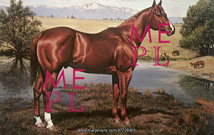  : Beautiful Horse