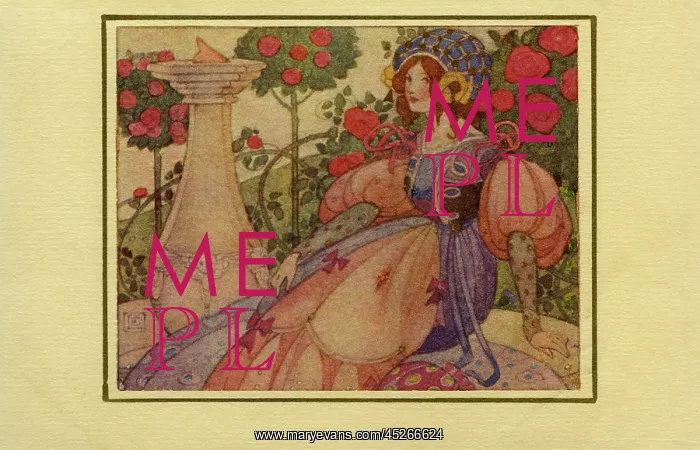 : Beautiful medaeval lady : Beautiful medaeval lady