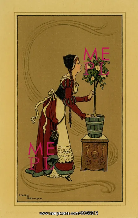 : Beautiful medaeval lady : Beautiful medaeval lady