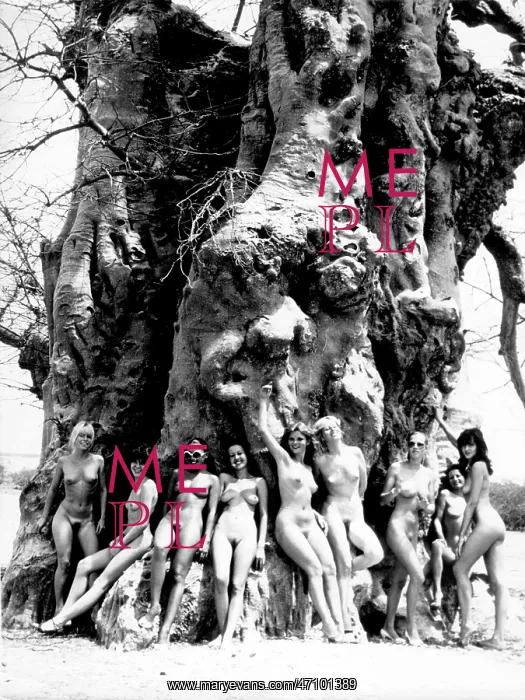 : Beauty Contest : Beauty Contest