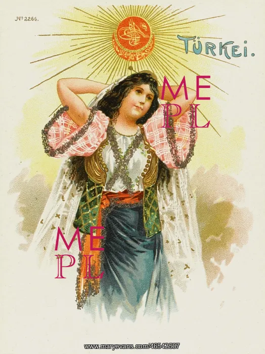 : Beauty of the Turkish Harem : Beauty of the Turkish Harem